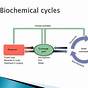 Circuit Diagram Of Clinical Biochemistry Process