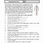 Health And Wellness Worksheets