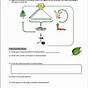 The Carbon Cycle Worksheet