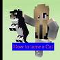 Tamed Cats Minecraft