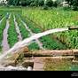 Irrigation Water Requirements For Vegetables