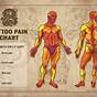 Chart Of Tattoo Pain