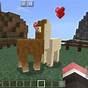 What Do You Use To Ride A Llama In Minecraft