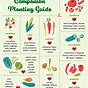 Fruit Companion Planting Chart