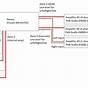 Light Wiring Diagram For Multiple Zones