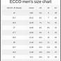 Ecco Mens Shoes Size Chart