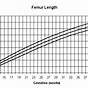 Fetal Femur Length Chart