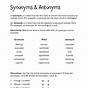 Synonyms Antonyms Worksheets