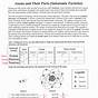 Subatomic Particles And Isotopes Worksheet