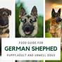 German Shepherd Food Amount Chart