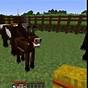 Funny Horse Names Minecraft