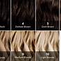 Hair Color Chart Levels