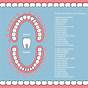 Wisdom Teeth Numbers Chart
