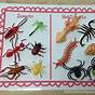 Insects For Kindergarten