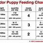 Wellness Puppy Feeding Chart
