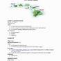 Hawaiian Islands Worksheet 4th Grade