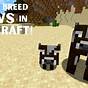 How To Get Cows To Follow You In Minecraft