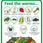 Worm Farm Food Chart