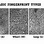Fingerprint Matching Worksheet Answers