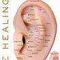 Ear Acupuncture Points Chart