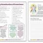 Examination Of Conscience Worksheets