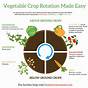Crop Rotation Vegetable Planting Chart
