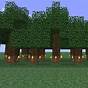 Minecraft Tree Farm Shulkercraft