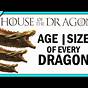 House Of Dragon Size Chart