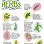 Medicinal Herb Charts Printable