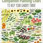 Printable Companion Planting Chart Pdf