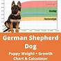 Weight Chart German Shepherd