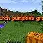 Do Pumpkin Seeds Grow Pumpkins Minecraft