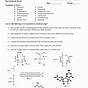 Enzymes Review Worksheet Answer Key Biology 1