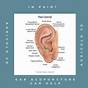 Ear Piercing Pain Chart By Scale