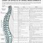 Chart Of Effects Of Spinal Misalignments