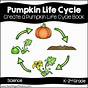 The Pumpkin Life Cycle Song