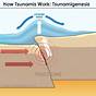 What Is The Science Behind A Tsunami