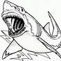 Great White Shark Coloring Pages For Kids