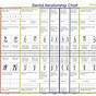 Chinese Medicine Tooth Chart