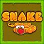 Feed The Snake Game Unblocked