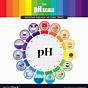 Universal Ph Indicator Color Chart