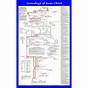 Genealogy Of Jesus Chart Pdf