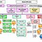 Example Of Organizational Chart For Small Business