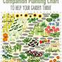 Chart For Planting Veggie Garden