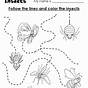 Insects Worksheets For Preschoolers