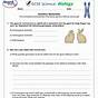 Genetics Worksheets For Elementary Students