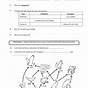 Energy In Ecosystems Worksheet Answers