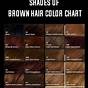 Hair Dye Colours Chart