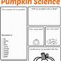 Pumpkin Cycle Worksheet For Kids