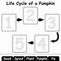 Pumpkin Life Cycle Free Printable